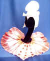 Oriental Orchid set