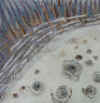 Achnabreck I felt, detail