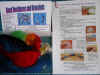 Bead Necklace and Bracelets Kit.