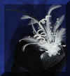 Black white comb