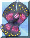 Butterfly cape