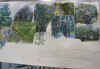 collage 1