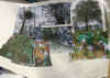 collage 5
