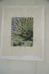 NZ Tree Fern