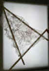 Space Frame, Darren
