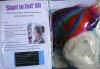 Start to Felt Kit